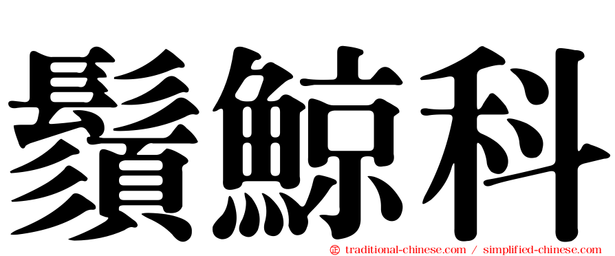 鬚鯨科