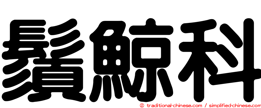 鬚鯨科