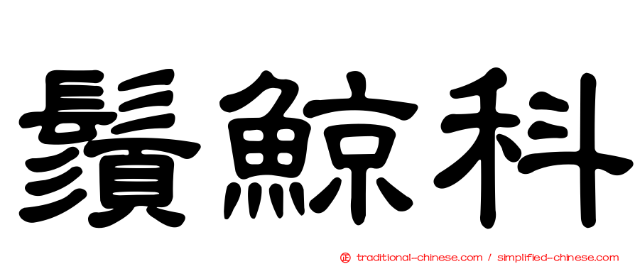 鬚鯨科