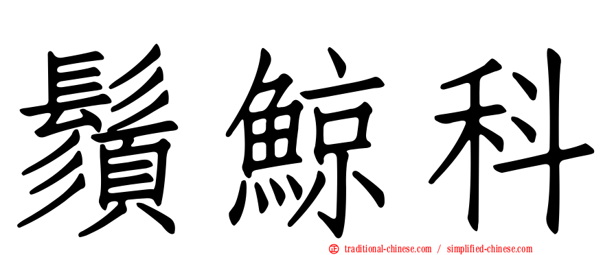 鬚鯨科
