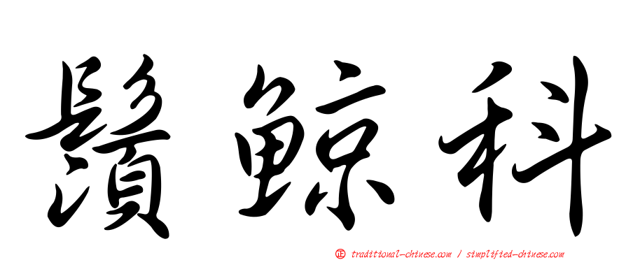 鬚鯨科