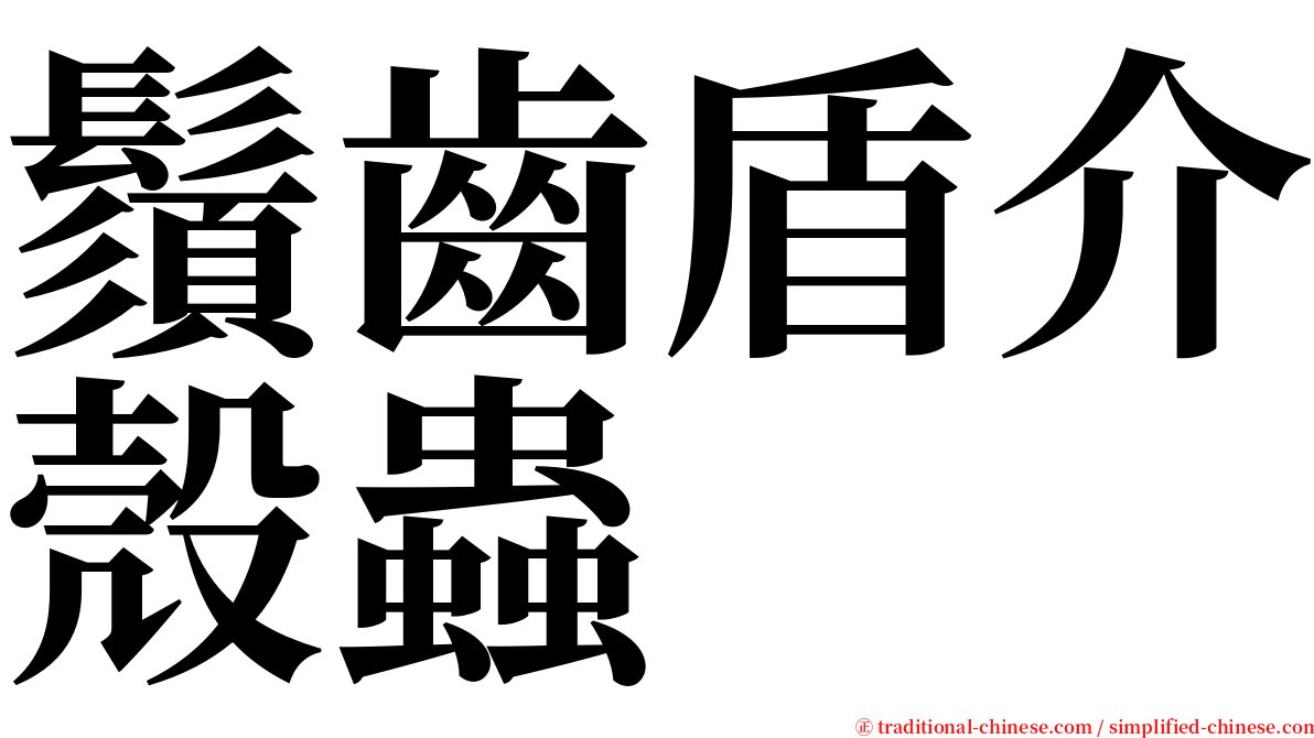 鬚齒盾介殼蟲 serif font
