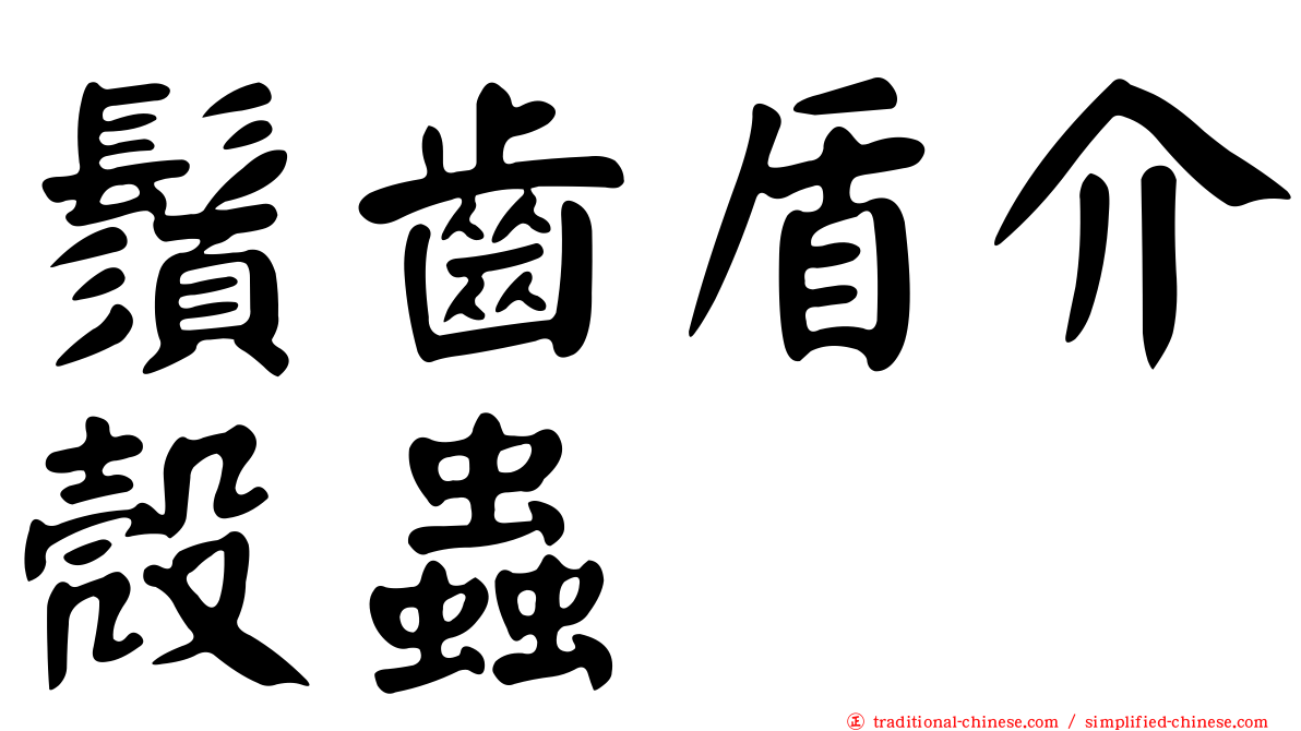 鬚齒盾介殼蟲