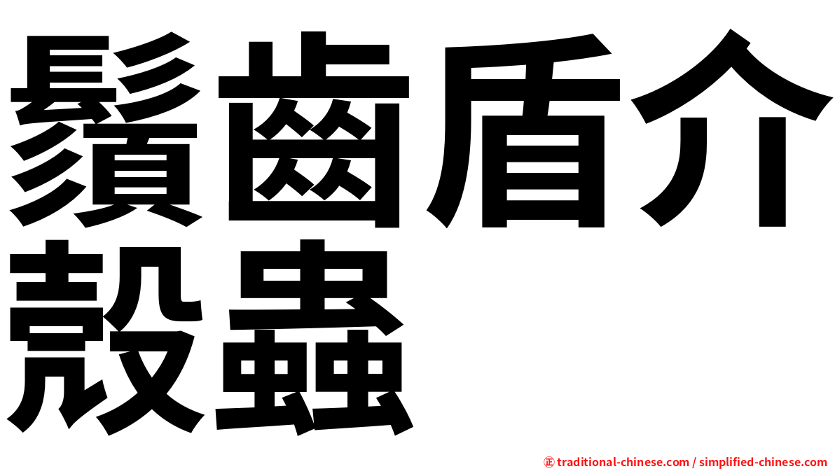 鬚齒盾介殼蟲