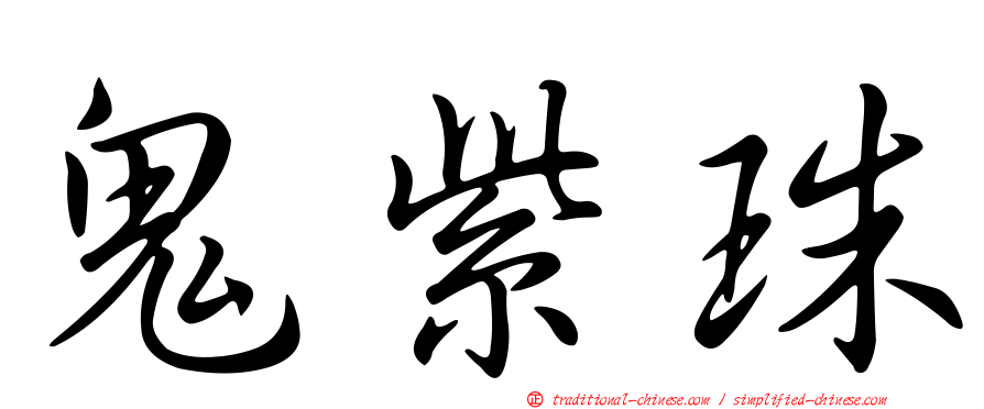 鬼紫珠