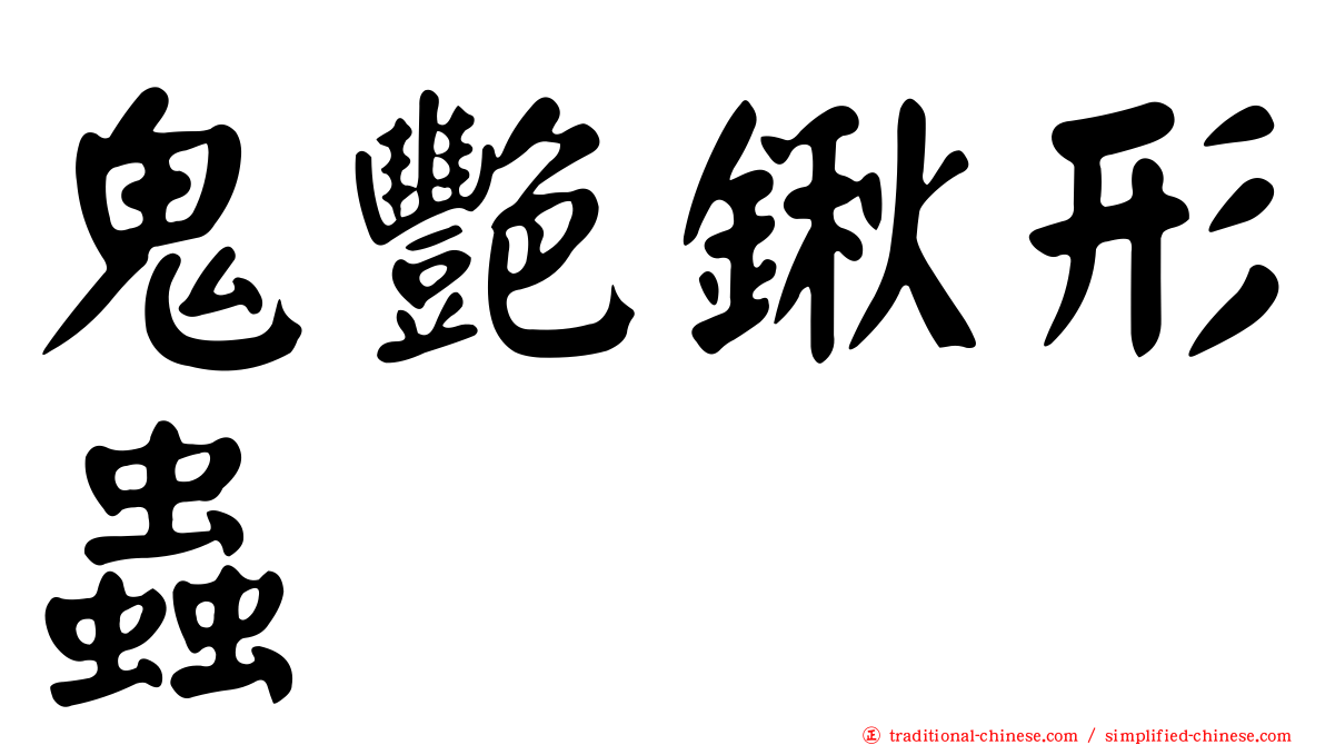 鬼艷鍬形蟲