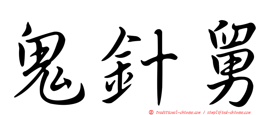 鬼針舅