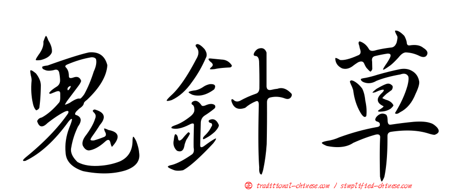 鬼針草
