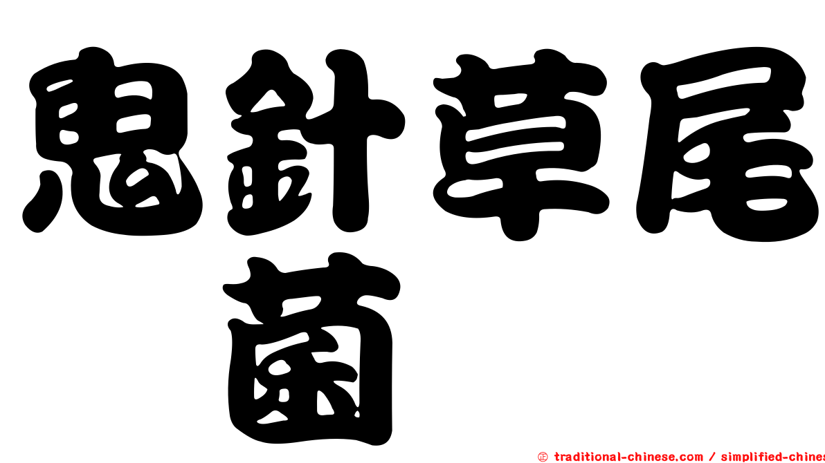 鬼針草尾孢菌
