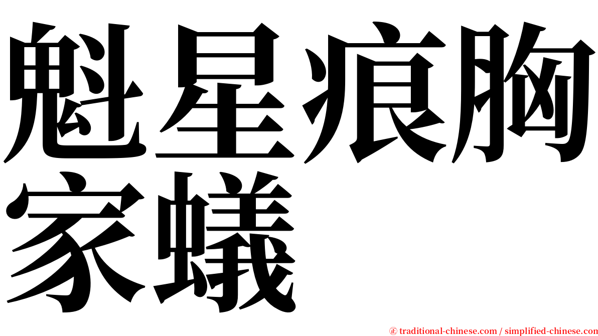 魁星痕胸家蟻 serif font