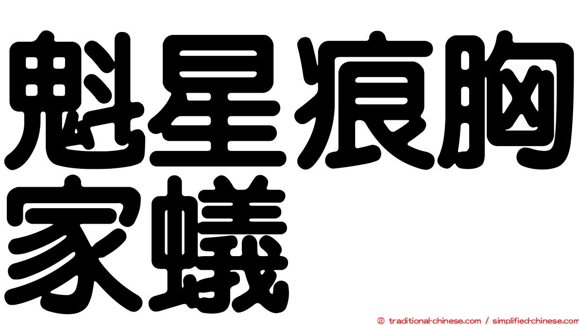 魁星痕胸家蟻