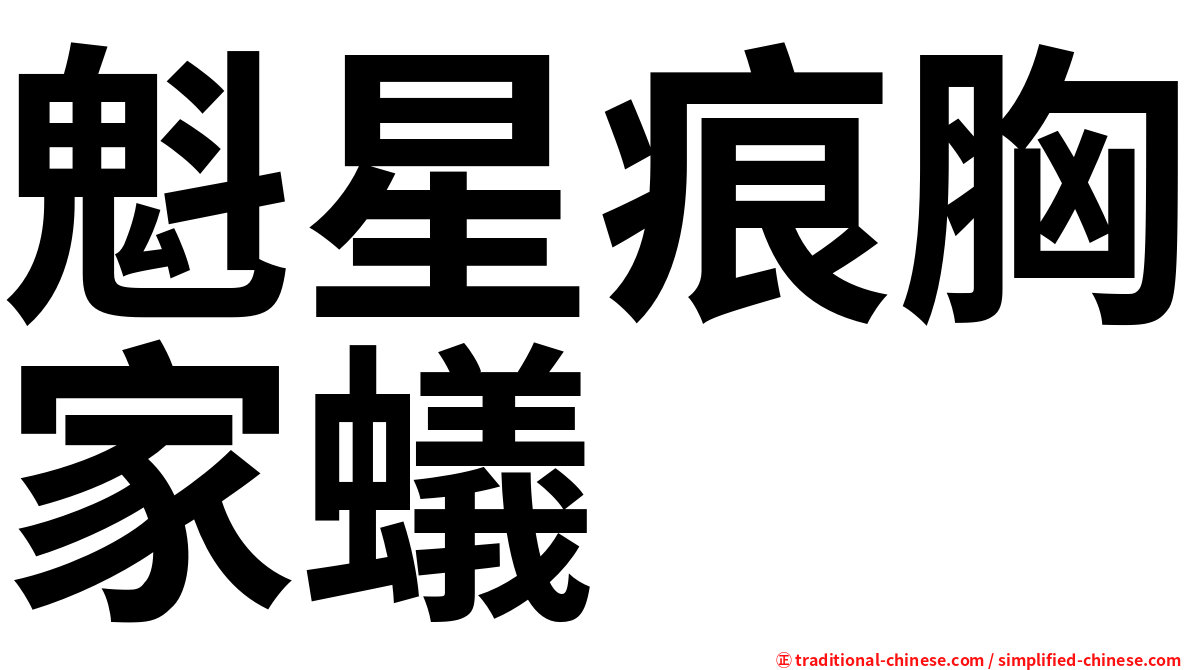 魁星痕胸家蟻