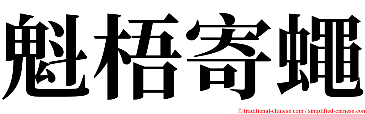 魁梧寄蠅 serif font