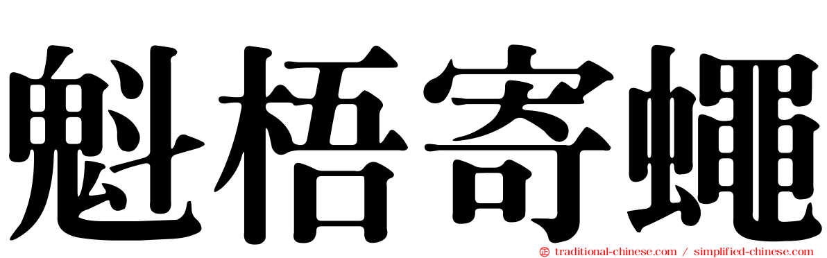 魁梧寄蠅