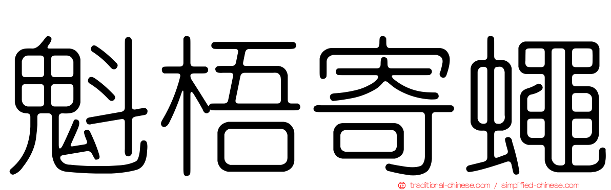 魁梧寄蠅