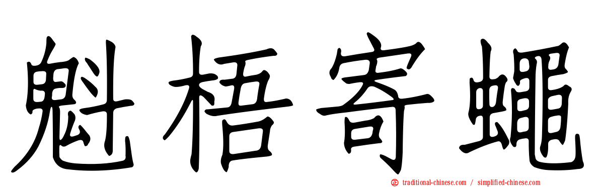 魁梧寄蠅