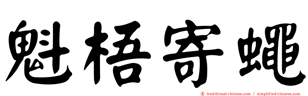 魁梧寄蠅