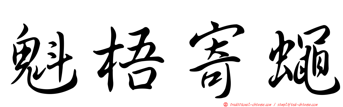 魁梧寄蠅