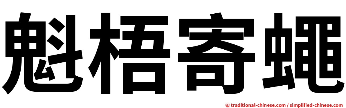 魁梧寄蠅