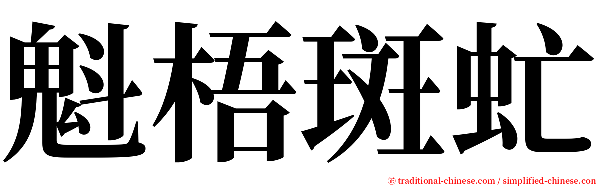 魁梧斑虻 serif font