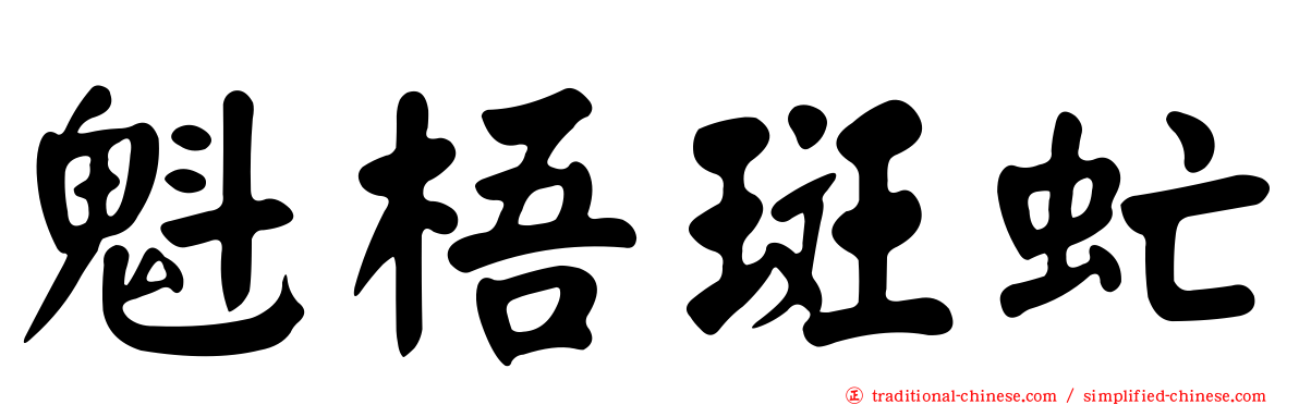 魁梧斑虻
