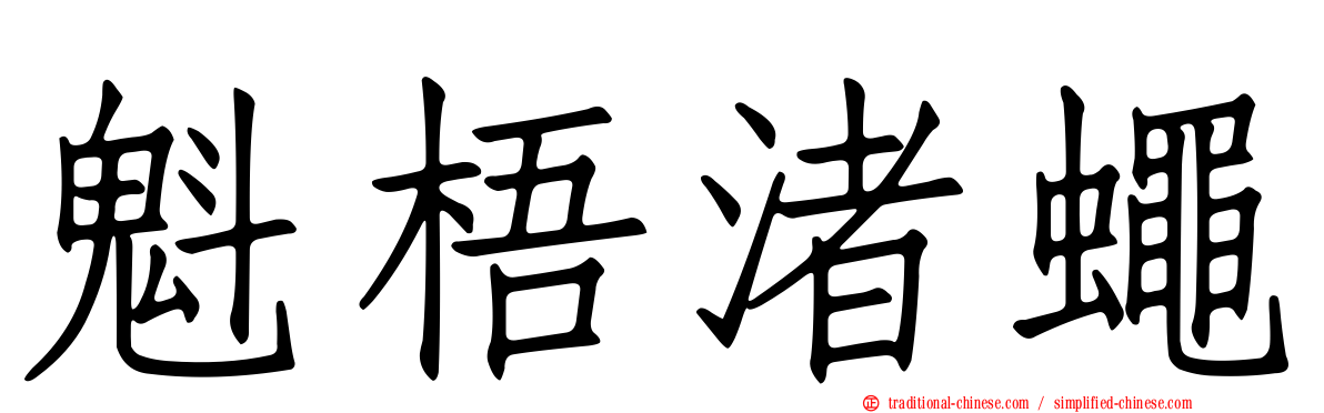 魁梧渚蠅