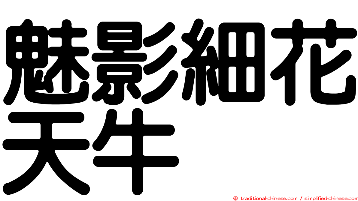 魅影細花天牛