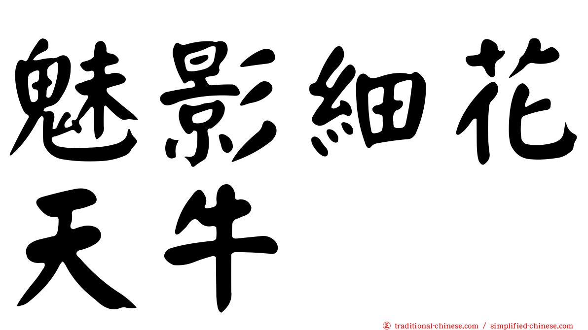 魅影細花天牛