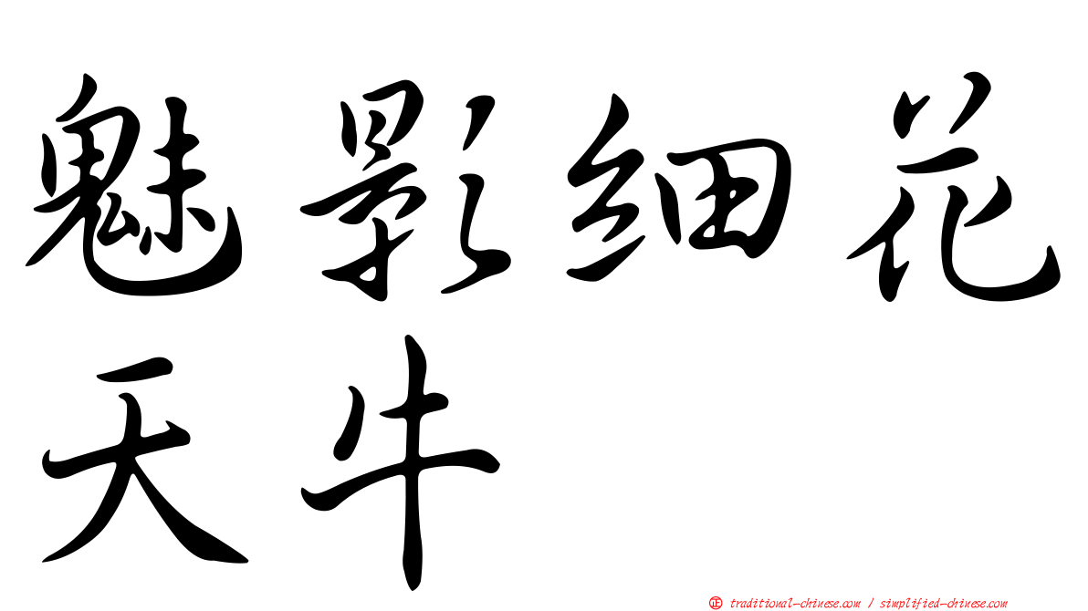 魅影細花天牛