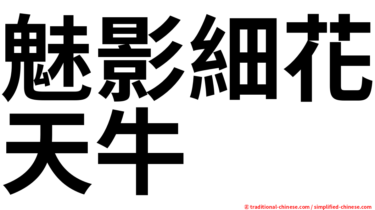 魅影細花天牛