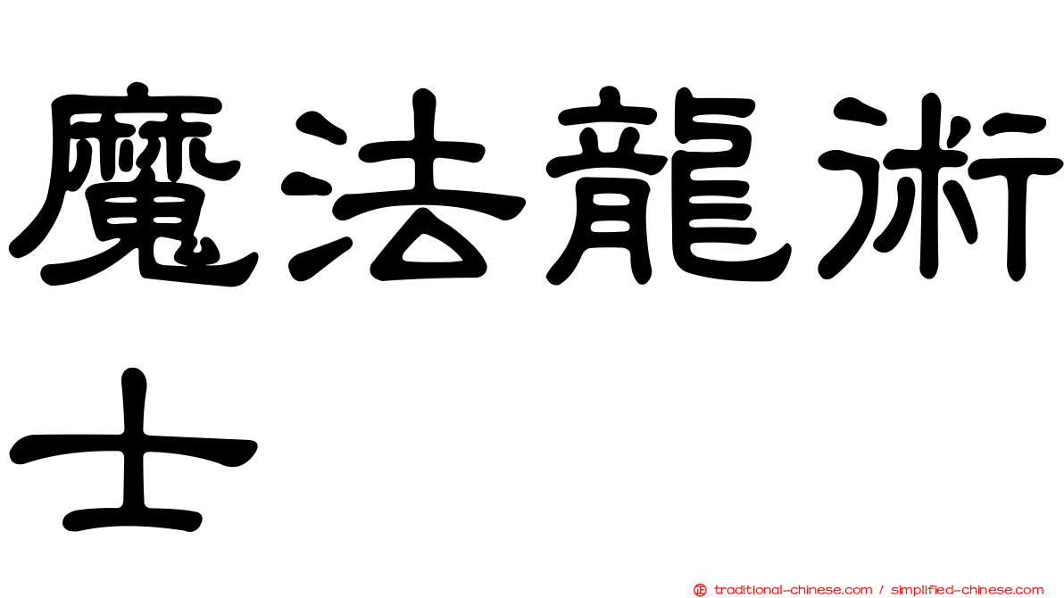魔法龍術士