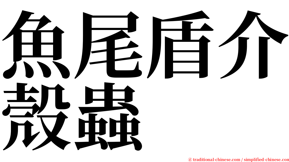 魚尾盾介殼蟲 serif font