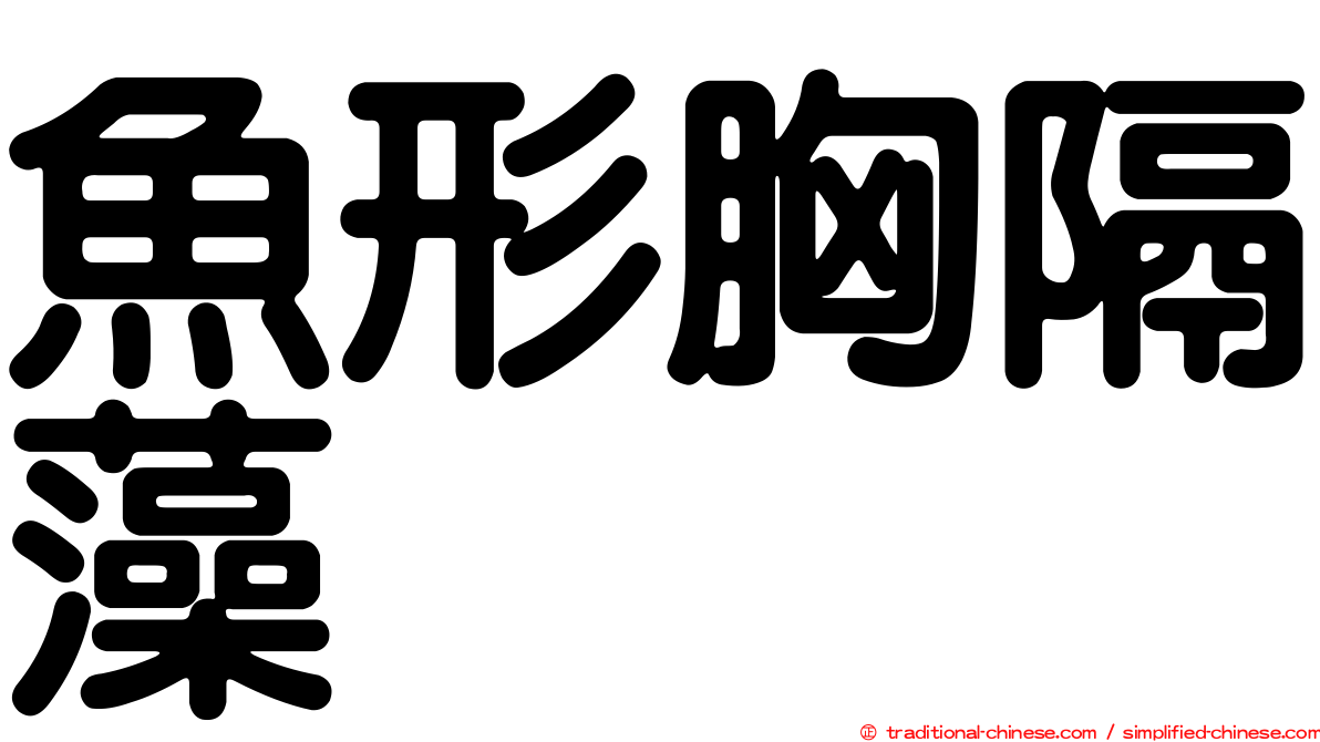 魚形胸隔藻