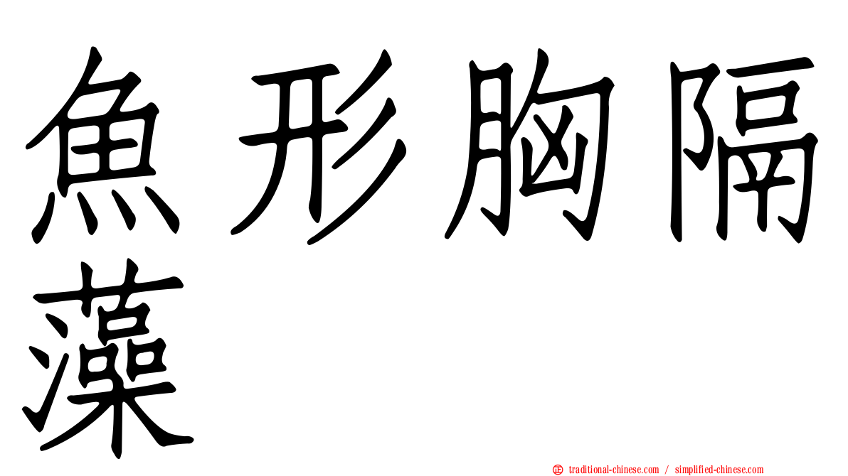 魚形胸隔藻