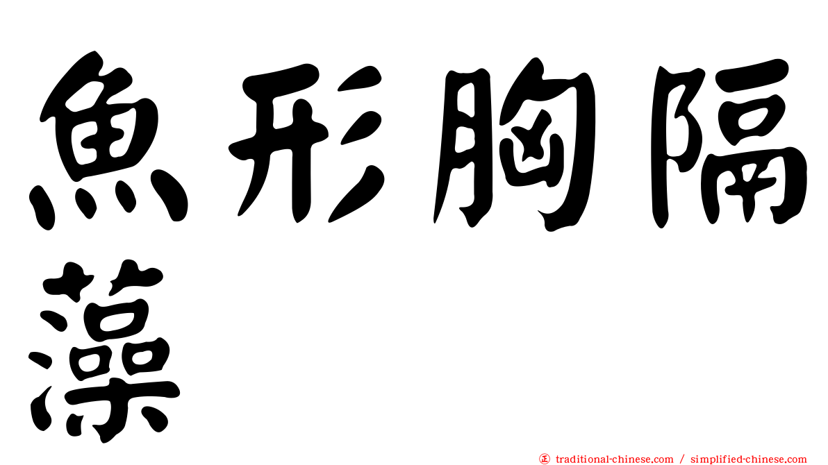 魚形胸隔藻