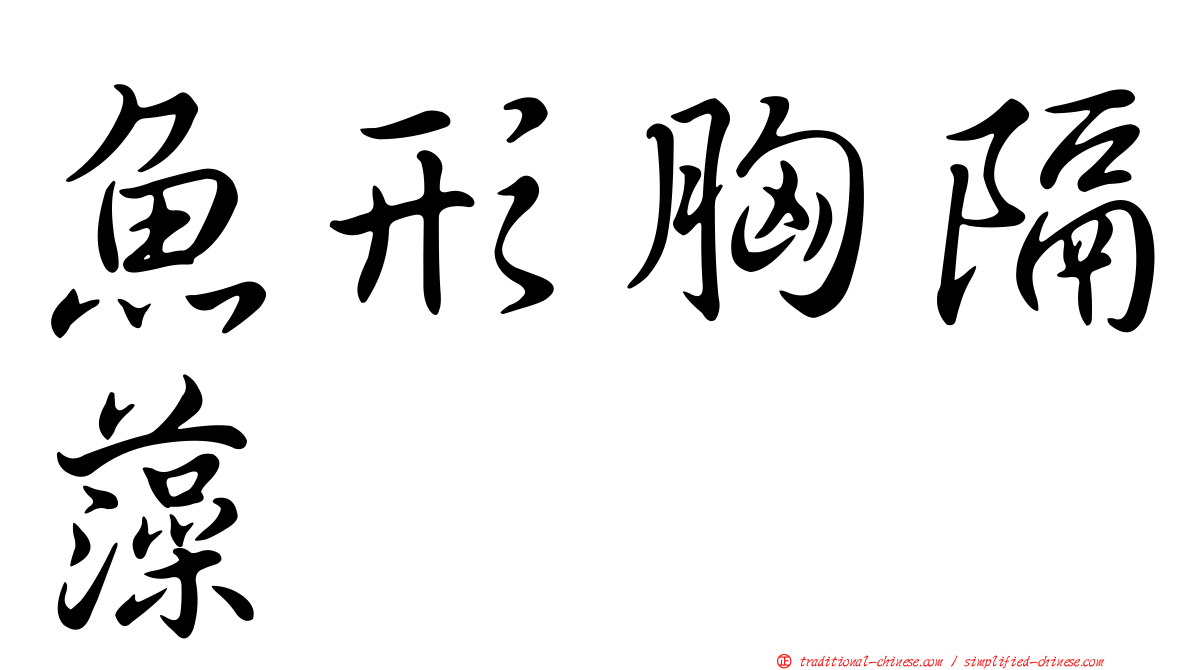 魚形胸隔藻
