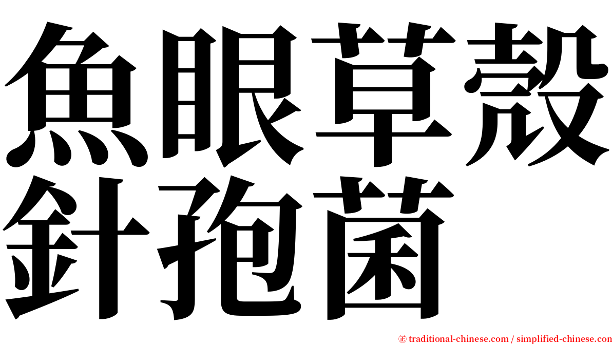魚眼草殼針孢菌 serif font