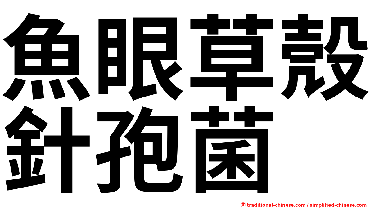 魚眼草殼針孢菌