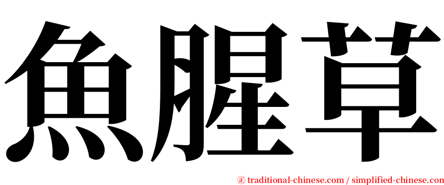 魚腥草 serif font