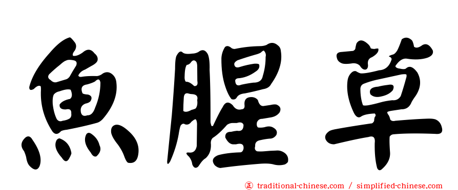 魚腥草