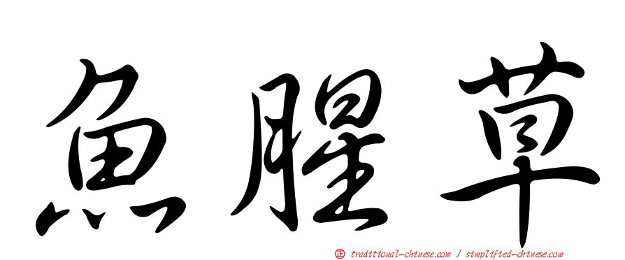 魚腥草