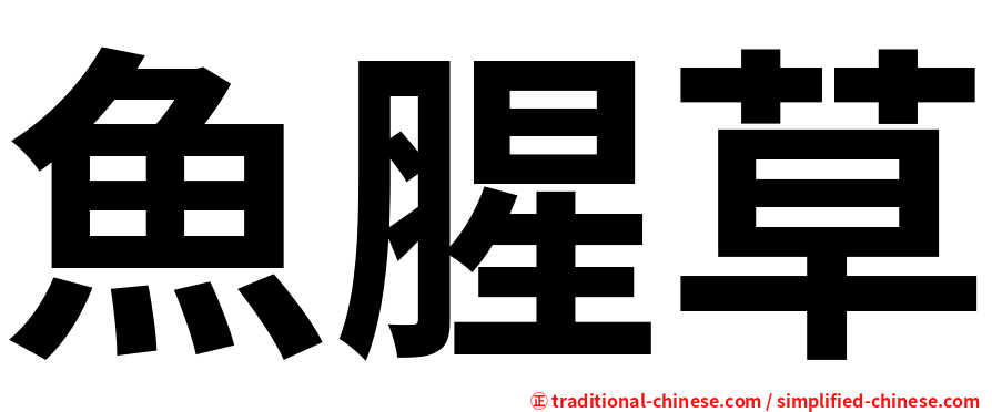 魚腥草