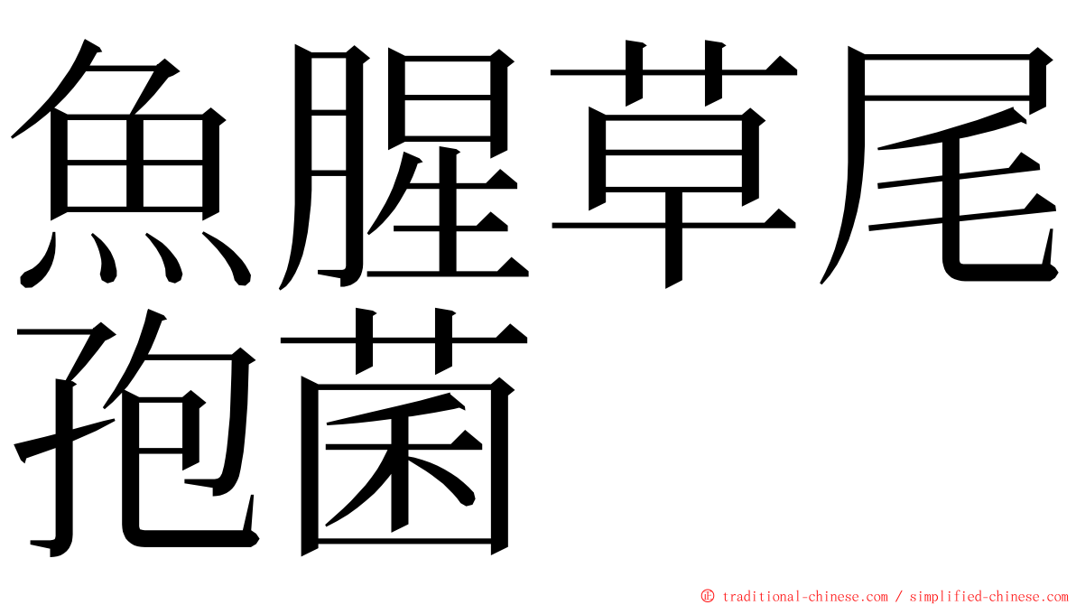 魚腥草尾孢菌 ming font
