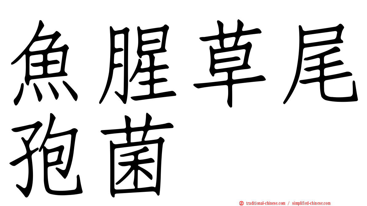 魚腥草尾孢菌