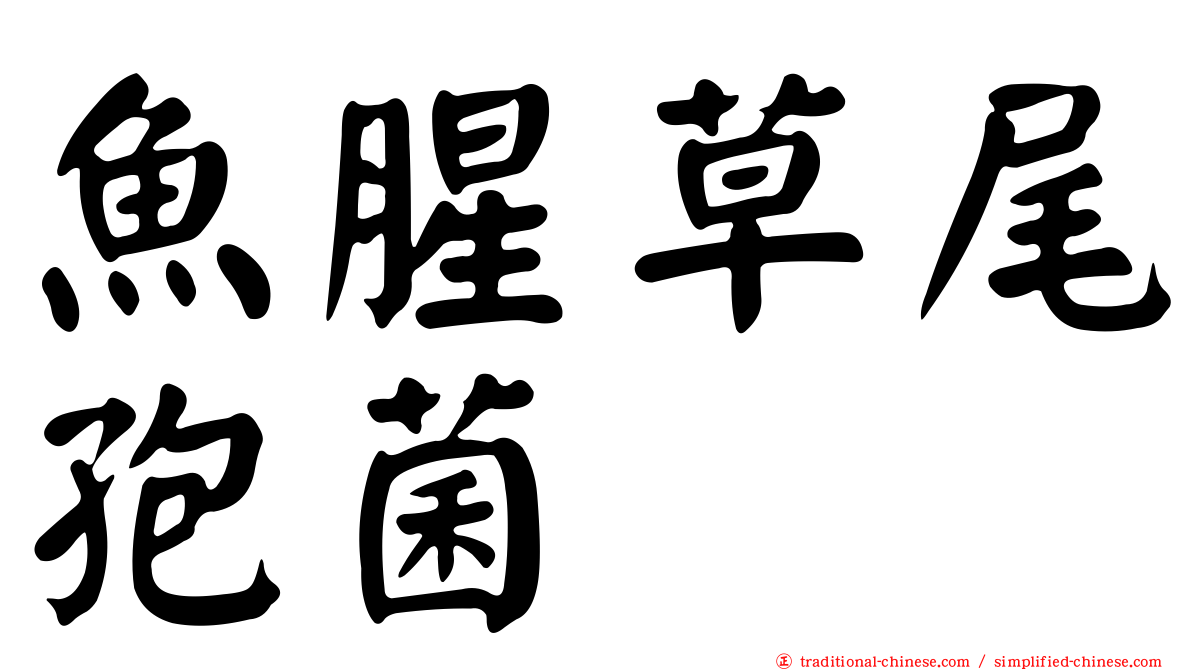 魚腥草尾孢菌