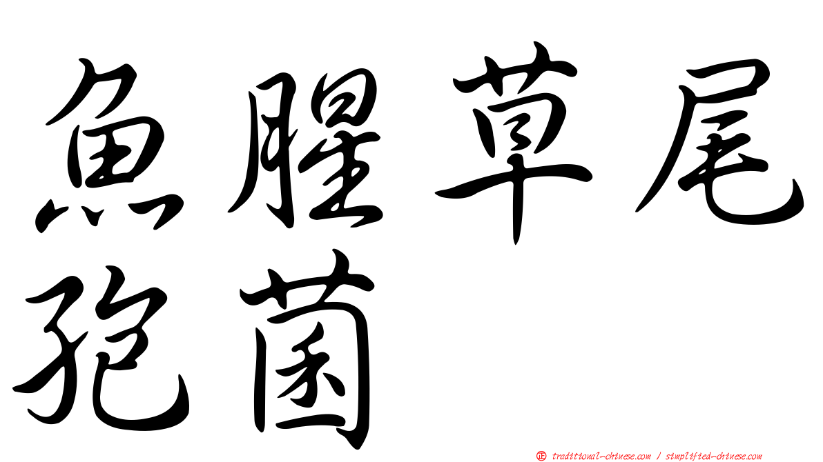 魚腥草尾孢菌