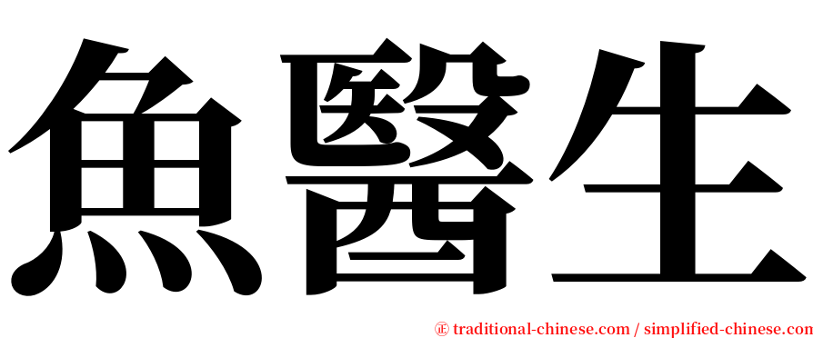 魚醫生 serif font