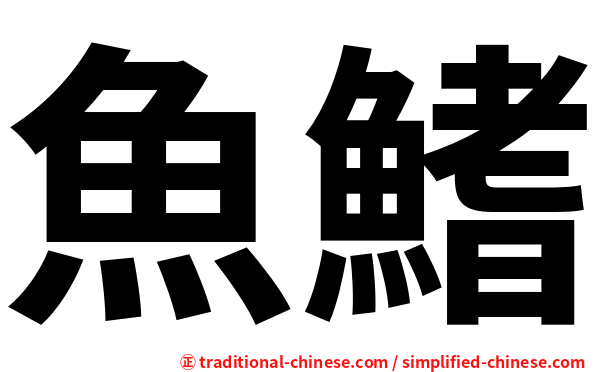 魚鰭
