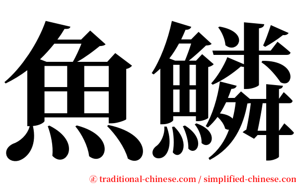 魚鱗 serif font