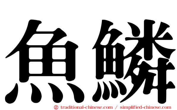 魚鱗